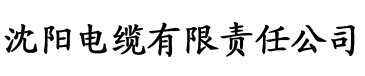 亚洲欧美日韩天堂一区二区三区电缆厂logo